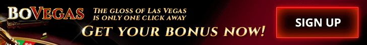 Bovegas casino